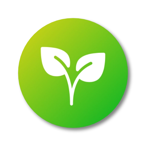 Act as prebiotic and helps regulate blood sugar effectively